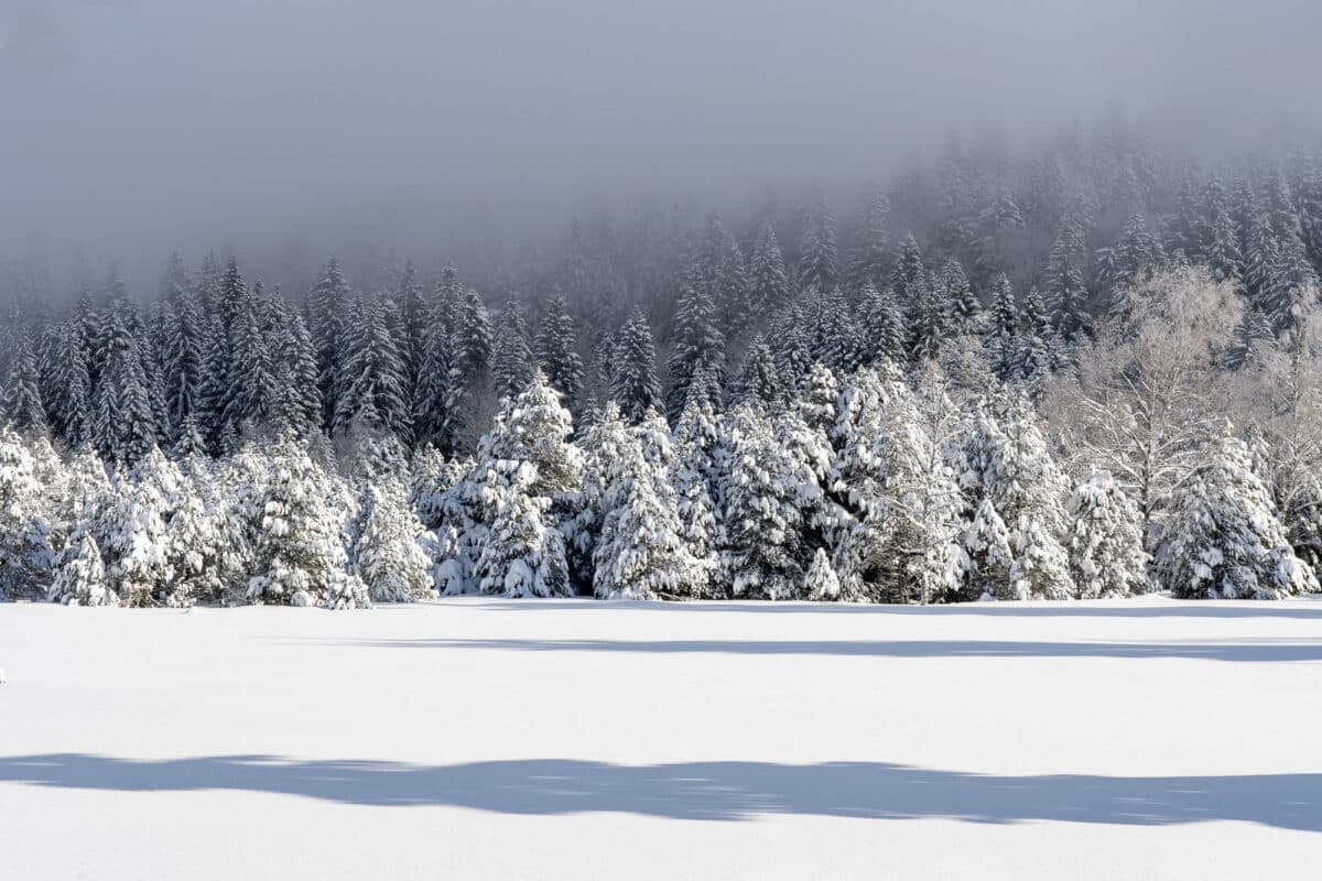 La Réserve Naturelle du Luitel vêtue de son manteau blanc – photographie de Gaëtan Michel