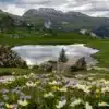 Lac des Fées dans le Beaufortain avec paysage alpin et eau calme en montagne
