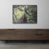 Jeune chamois de Chartreuse | gaetanmichel.com |