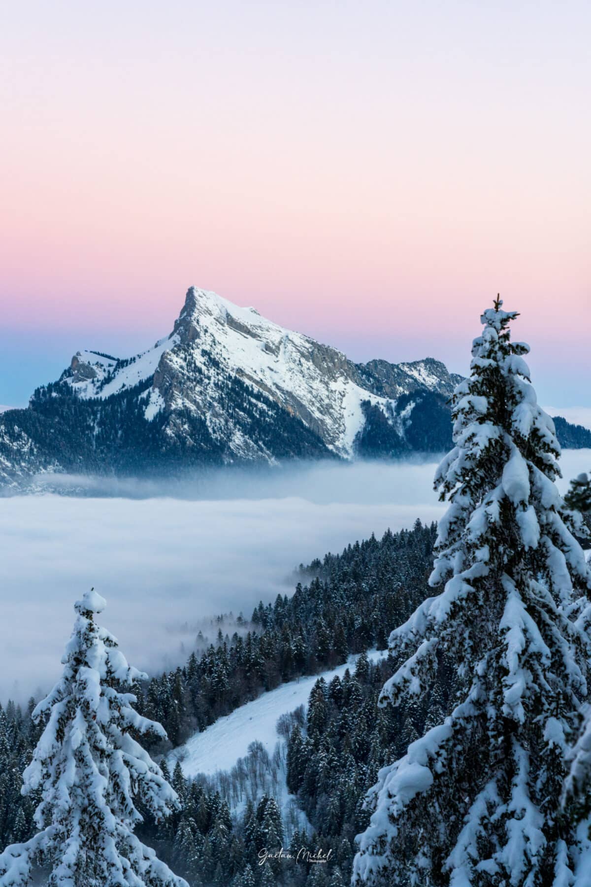 Le Grand Som en Chartreuse au lever du jour, neige fraîche, ciel rose et mer de nuages, photo à vendre en tirage d'art