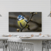 Mésange Bleue l gaetanmichel.com |