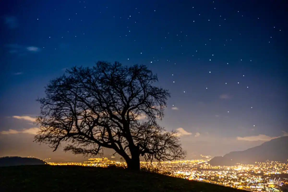 Chêne centenaire à Vénon près de Grenoble, arbre majestueux et paysages isérois - Vente de tirages décoratifs par Gaëtan Michel