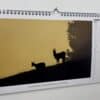 J'ai sélectionné quelques photos coup de coeur pour le calendrier 2025, celle-ci ont été prises sur les département de l'Isère ainsi que la Savoie. Calendrier 2025 photos de montagne Chamois