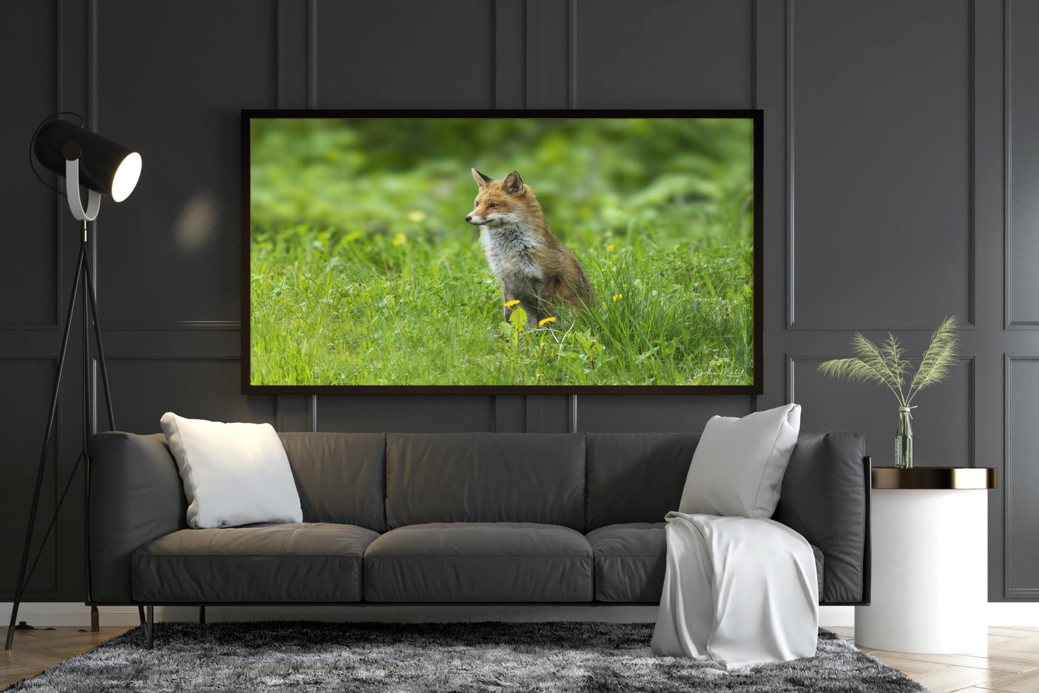 Ce jeune renard s'est figé un instant dans la lumière d'une clairière, attentif, peut-être curieux. Sa silhouette rousse se détache sur le vert vif des herbes printanières, témoignage discret de la vie sauvage qui nous observe souvent.