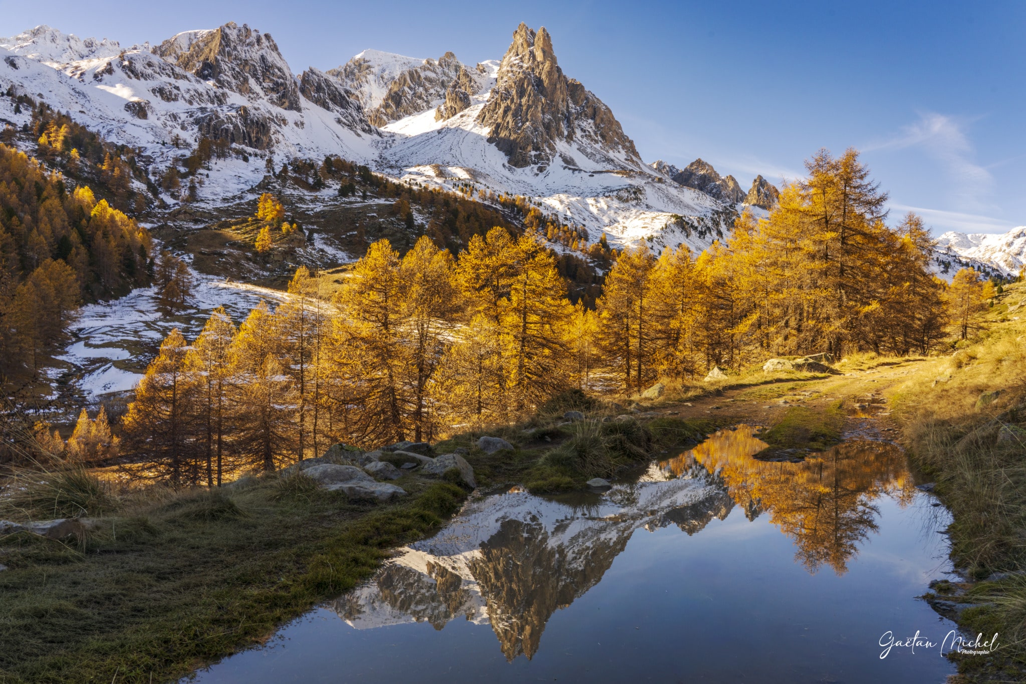 Reflets de mélèzes dorés dans la vallée de la Clarée. Photo automnale idéale pour une décoration chaleureuse et naturelle. Reflets de mélèzes dorés dans la vallée de la Clarée. Photo automnale idéale pour une décoration chaleureuse et naturelle.