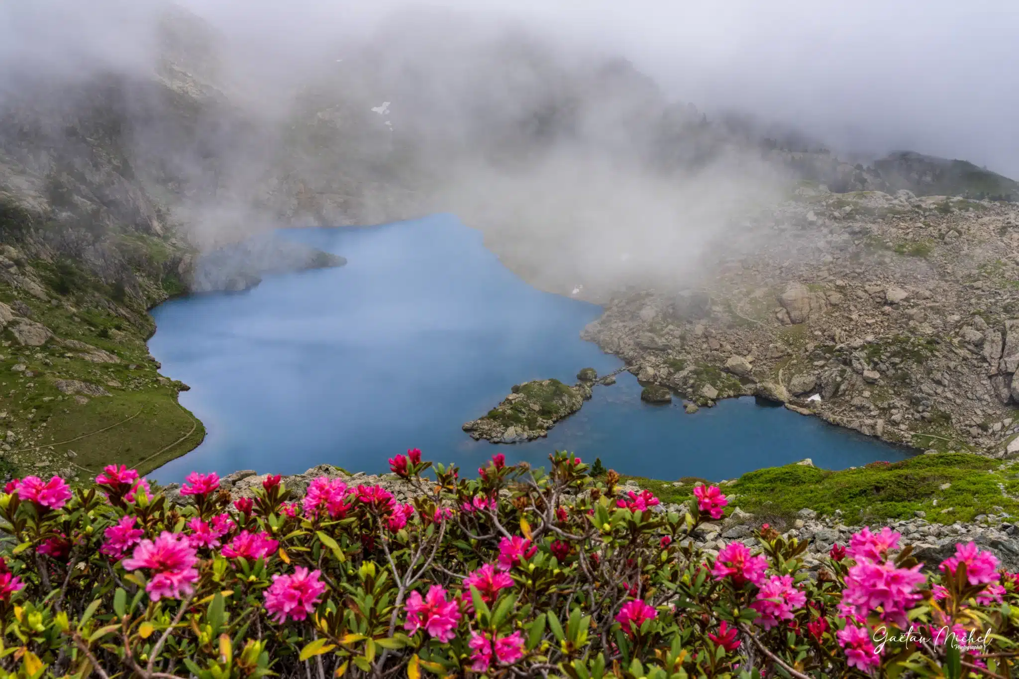 Les rhododendrons en fleur encadrent le lac Léama sous les dernières lumières du jour, dans le massif de Belledonne. Lac Léama dans le massif de Belledonne au coucher du soleil, entouré de rhododendrons en fleur au premier plan.